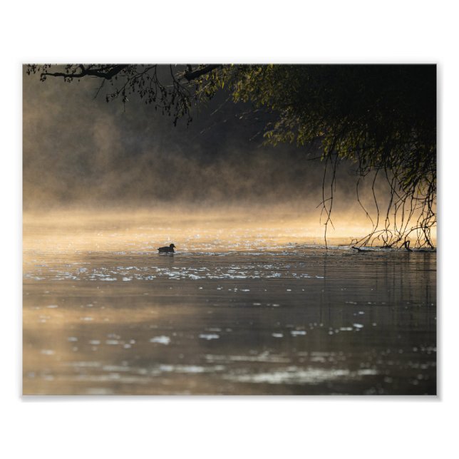 Morgenstimmung Fotodruck (Vorne)