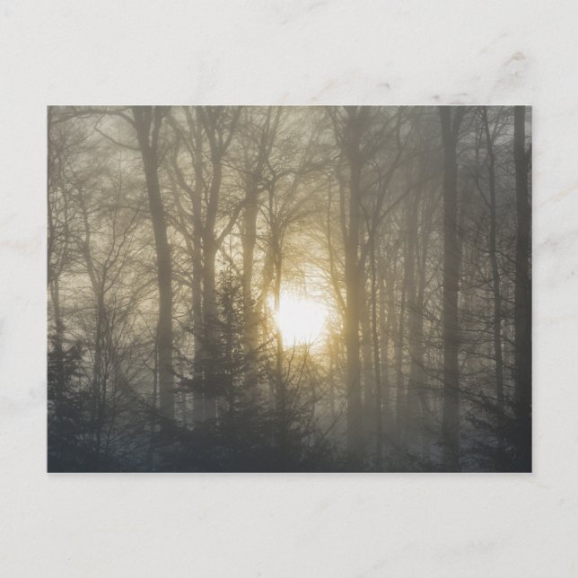 Morgenstimmung Postkarte (Vorderseite)