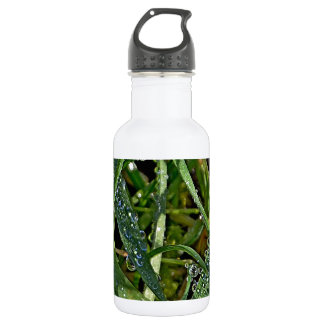 Morgentau auf dem Gras Trinkflasche