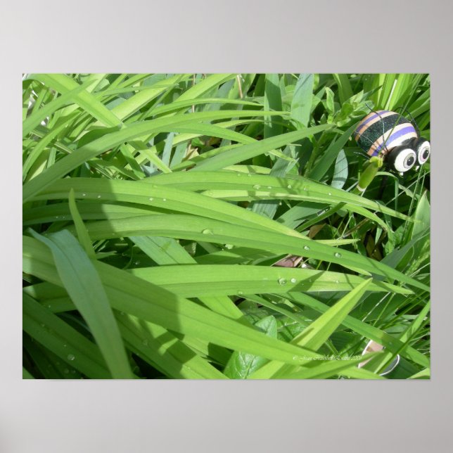 Morgentau Poster (Vorne)