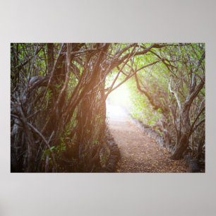 Morgenwald Poster