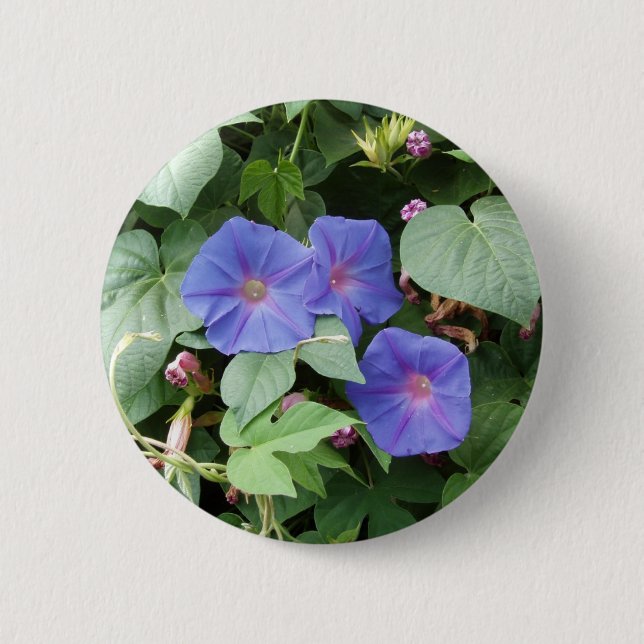 Moring Ruhm-Blumen - Knopf Button (Vorderseite)