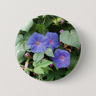 Moring Ruhm-Blumen - Knopf Button