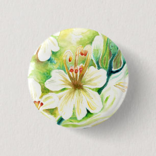 Moringa Blume Button
