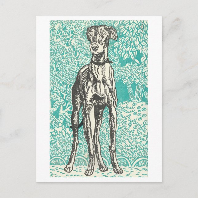 Moriz Jung Greyhound Print Postcard Postkarte (Vorderseite)