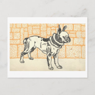 Moriz Jung Pitbull Terrier Postkarte