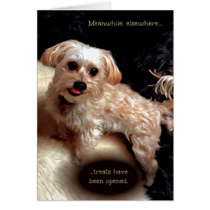 Morkie Chien mignon drôle Mème chiot carte d'anniv