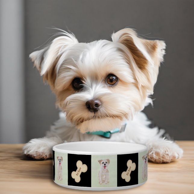 Morkie Dog Bowl mit Knochen Napf (Von Creator hochgeladen)