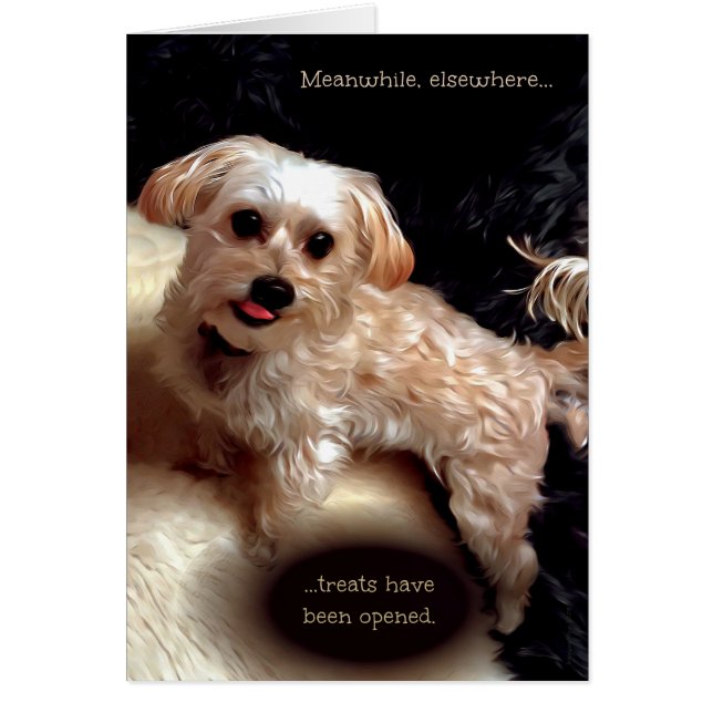 Morkie Dog Niedlich Funny Meme Puppy Birthday Card (Vorne)