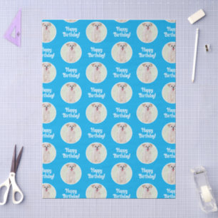 Morkie Hund Blau Seidenpapier