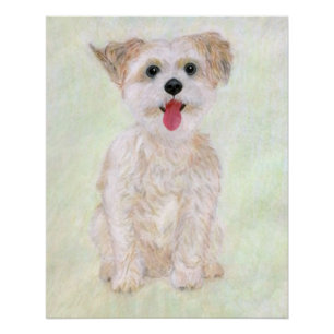 Morkie Hund Glänzendes Poster