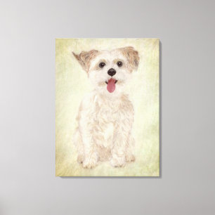 Morkie Hund Premium Leinwandbild im Wrap-Design Leinwanddruck