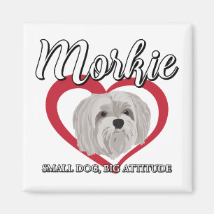 Morkie - Kleiner Hund mit großer Attitüde 3 Magnet