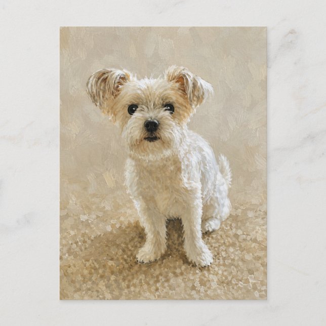 Morkie Liebe Postkarte (Vorderseite)