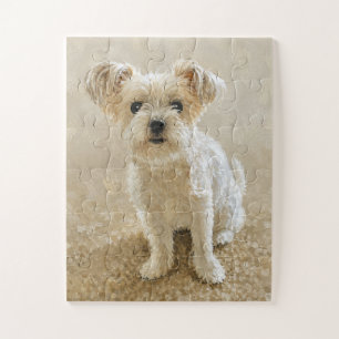 Morkie Love Oversized