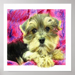 Morkie Poster