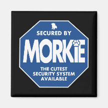 Morkie-Security-Blue