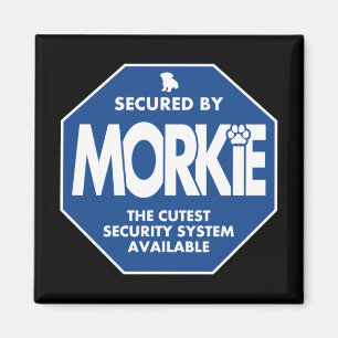 Morkie-Sicherheit-Blau Magnet