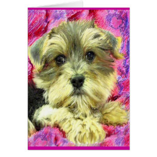 Morkie-Welpenkarte