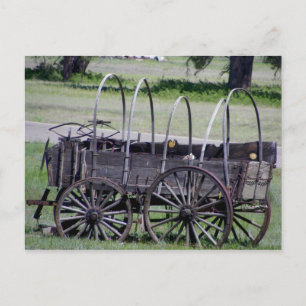Mormon Lake Wagon Postkarte