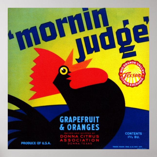 Mornin Judge Grapefruit and Orange Poster (Vorne)