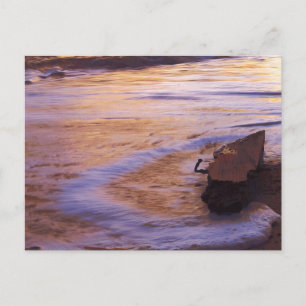 Morning Adrift Postcard Postkarte