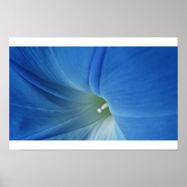 Morning Bloom Poster (Vorne)