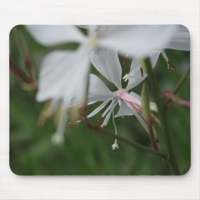 Morning Blur - Blumenfotografie Mousepad (Vorne)