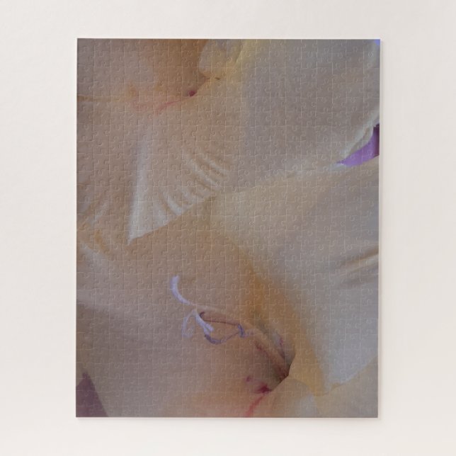 Morning Calm: Blush Petals in Gentle Focus (Vertikal)