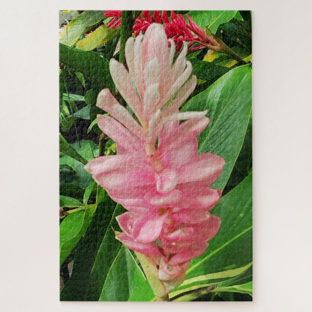 Morning Calm: Pale Pink Ginger Flower Soft Petals (Vertikal)