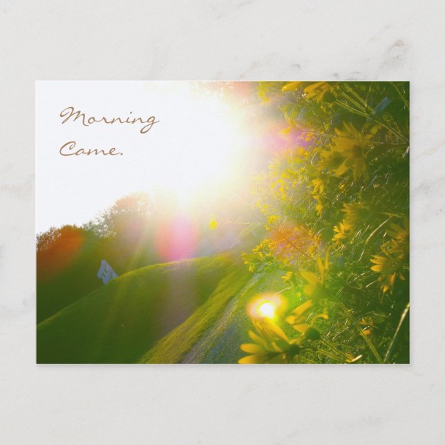 Morning Came Postkarte (Vorderseite)