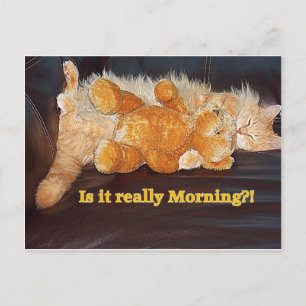 Morning ? Carte postale