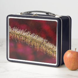 Morning Dew Metall Brotdose