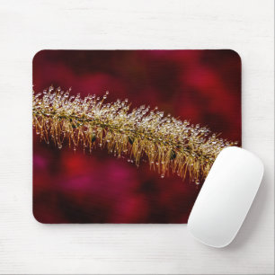 Morning Dew Mousepad
