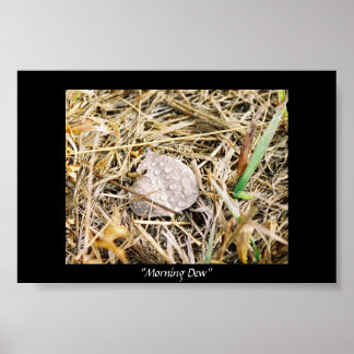 Morning Dew Poster