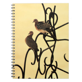 Morning Doves Notebook Notizblock