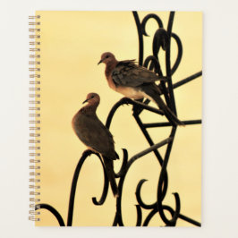 Morning Doves Planer
