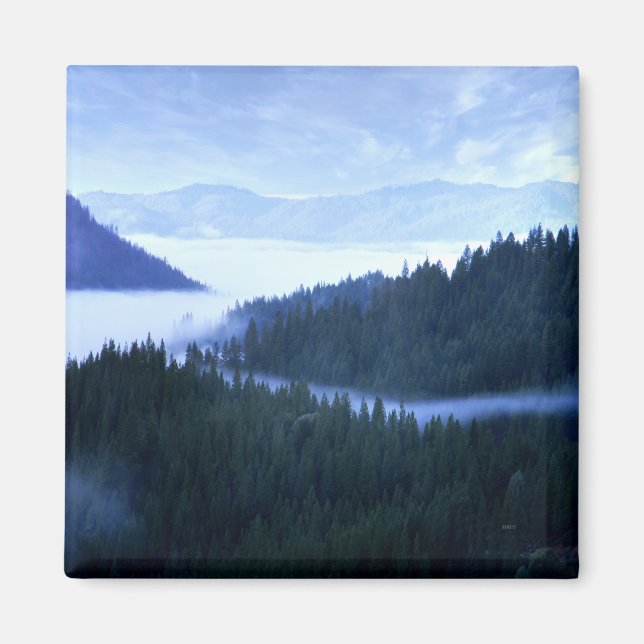 Morning Fog...... Magnet (Vorne)