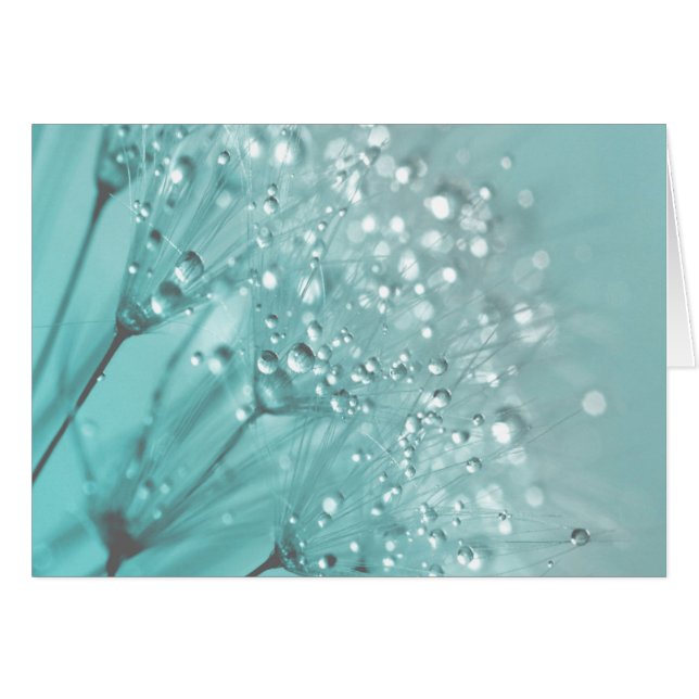 Morning Freshness (Vorderseite (Horizontal))