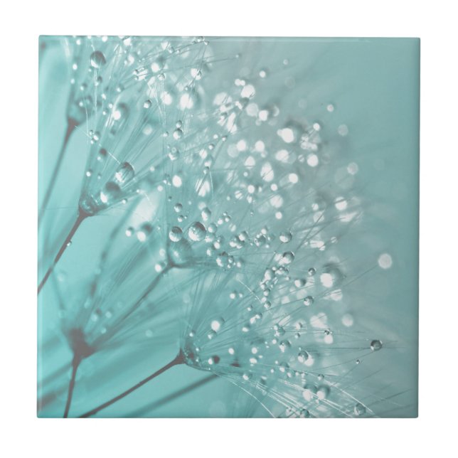 Morning Freshness Fliese (Vorderseite)