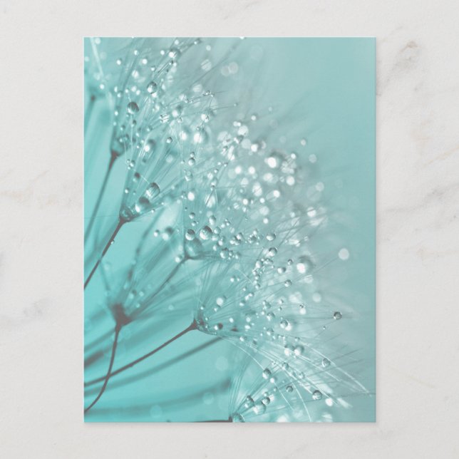 Morning Freshness Postkarte (Vorderseite)