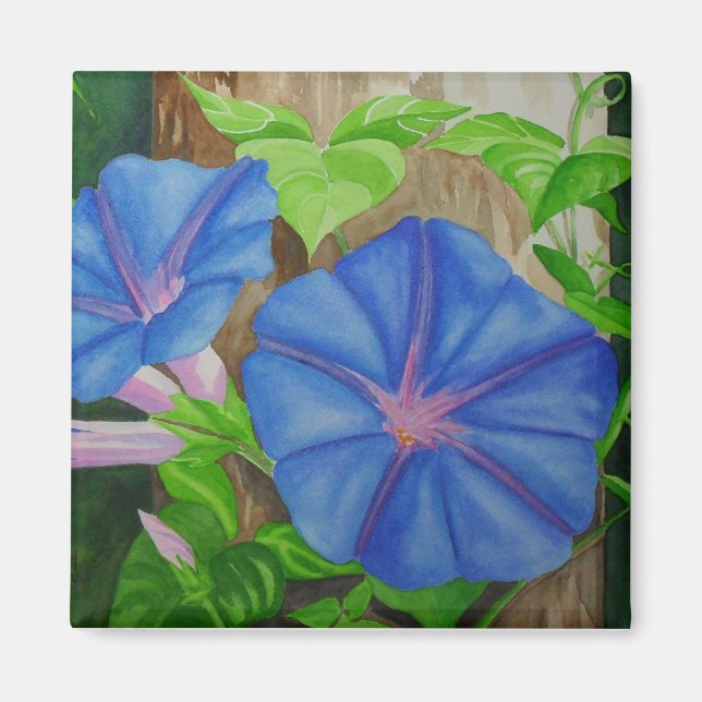 Morning Glories Magnet (Vorne)
