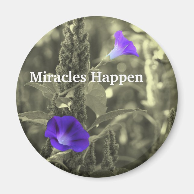 Morning Glories Miracles Happen Magnet (Vorne)