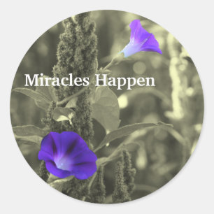 Morning Glories Miracles passieren Sticker