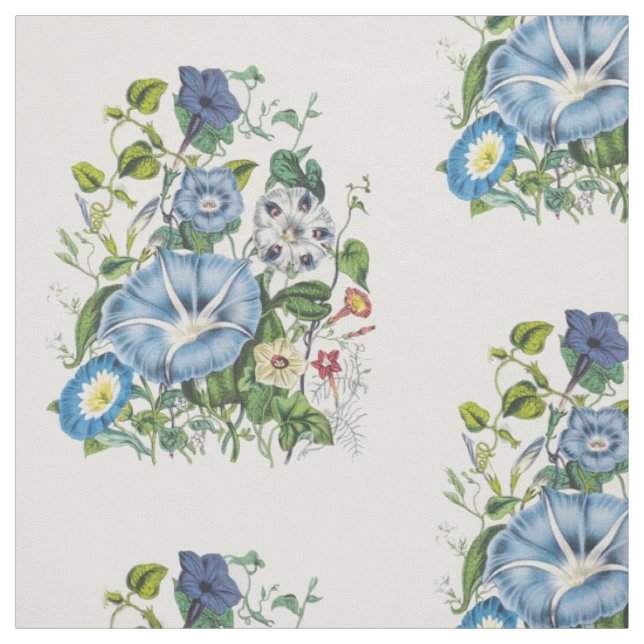 Morning Glories Stoff (Muster)