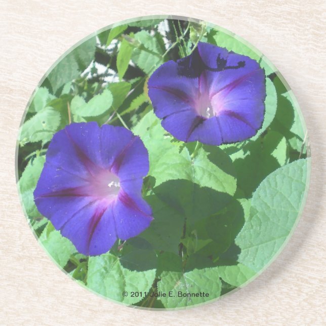 Morning Glories Untersetzer (Vorne)