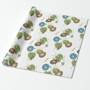 Morning Glory Blume Pattern Geschenkpapier