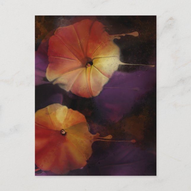 Morning Glory Blume Postkarte (Vorderseite)