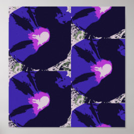 Morning Glory Blumen Poster