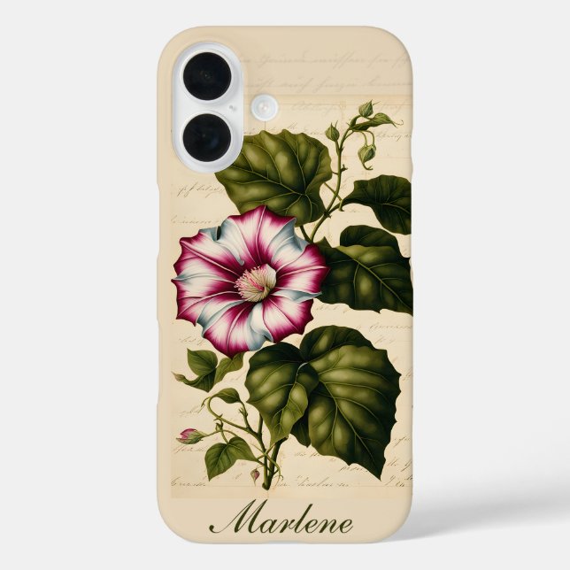 Morning Glory Botanical Illustration iPhone 16 Hülle (Rückseite)